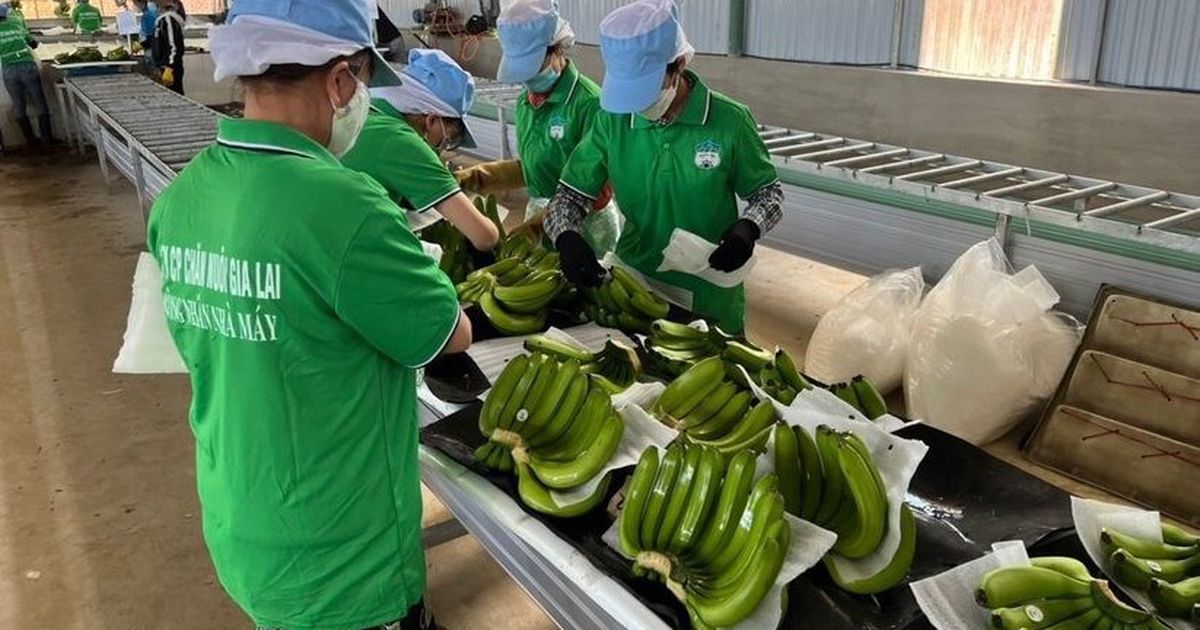 Hoàng Anh Gia Lai báo lãi quý II gấp đôi cùng kỳ