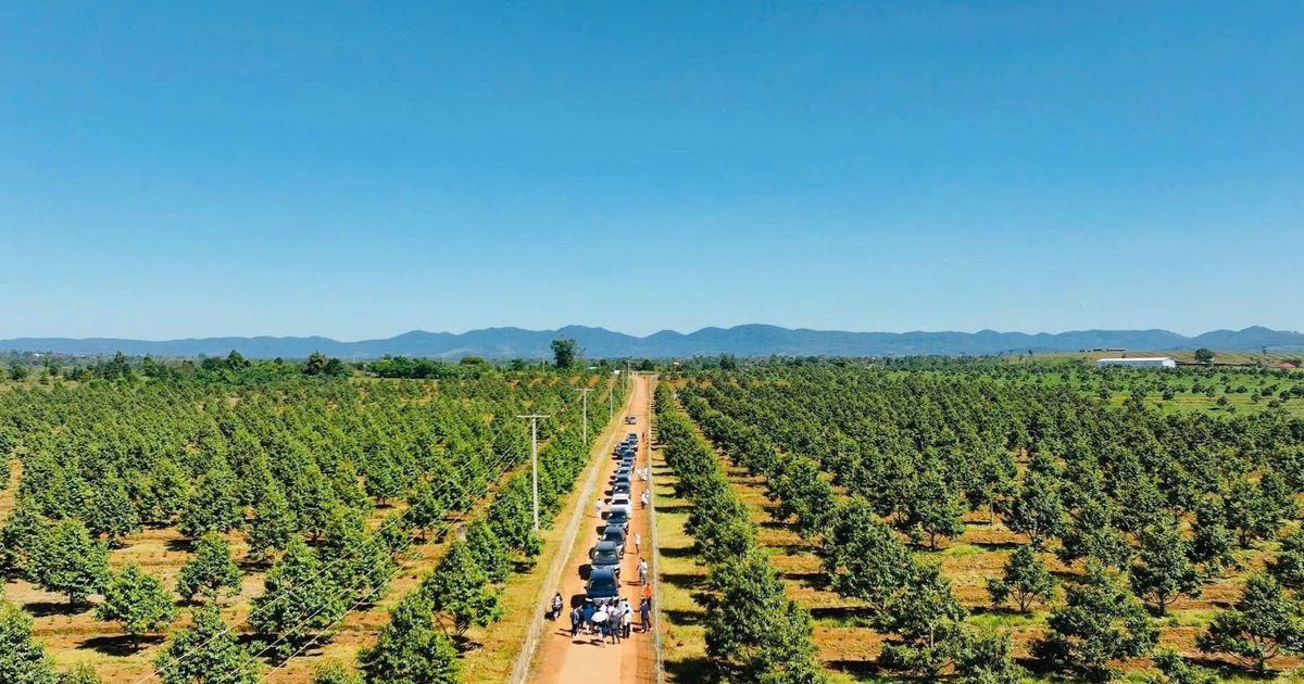 Công ty con của Hoàng Anh Gia Lai chốt giá IPO 18,8 triệu cổ phiếu, dự thu hơn 1.100 tỷ đồng