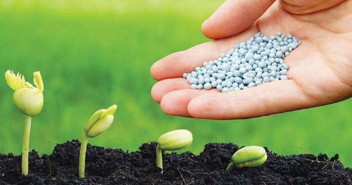 Xuất khẩu phân bón tháng 7 giảm mạnh