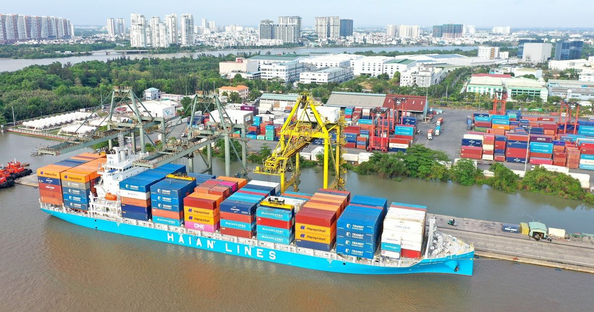 Vận tải và Xếp dỡ Hải An có cổ đông lớn mới