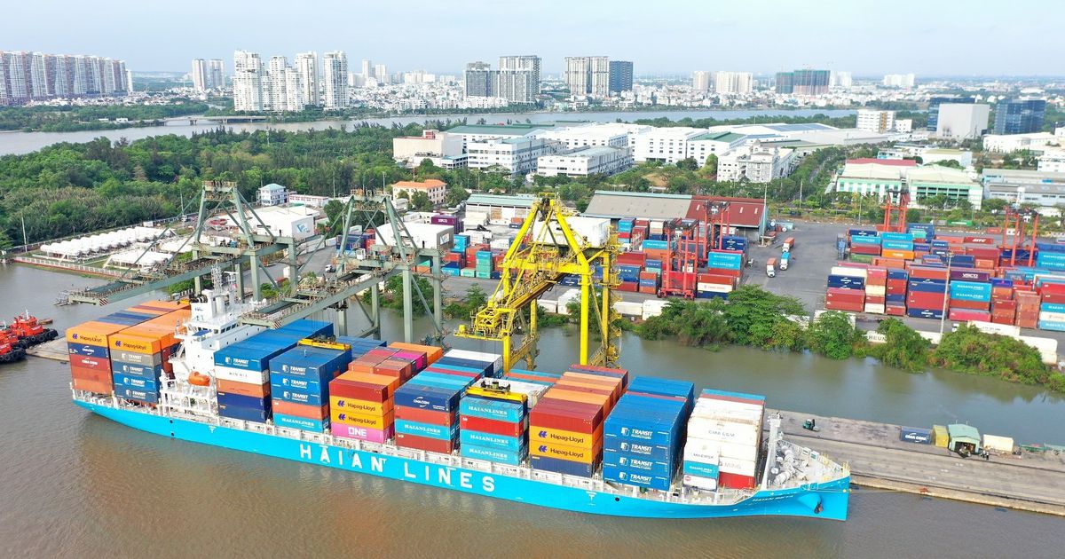 GELEX thoái hết vốn tại Vận tải và Xếp dỡ Hải An sau 1 tháng trở thành cổ đông lớn