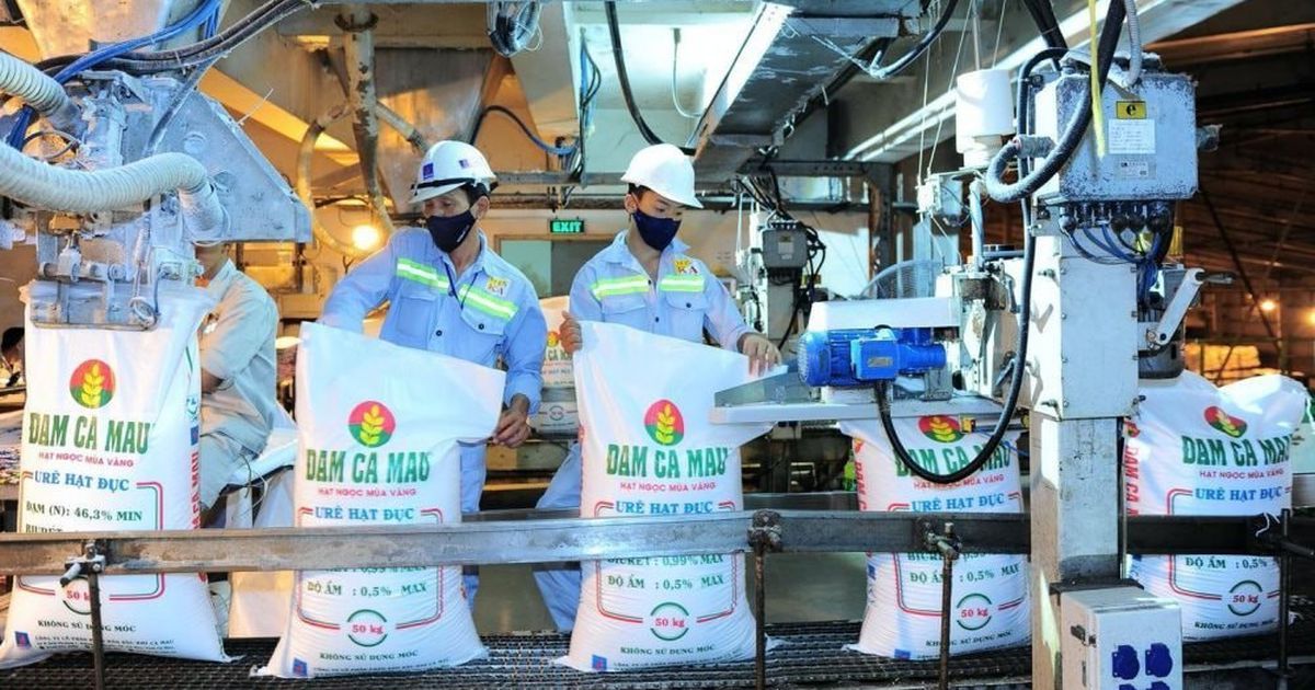 Đạm Cà Mau lãi sau thuế hơn 1.200 tỷ đồng sau 6 tháng, vượt 57% kế hoạch năm