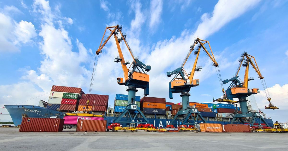 Viconship cử người vào HĐQT Vận tải và xếp dỡ Hải An
