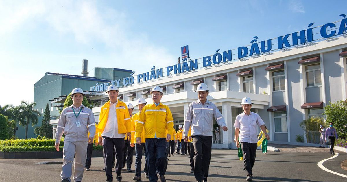 Đạm Cà Mau (DCM) sắp chi nghìn tỷ chia cổ tức, PVN nhận về hơn 800 tỷ đồng