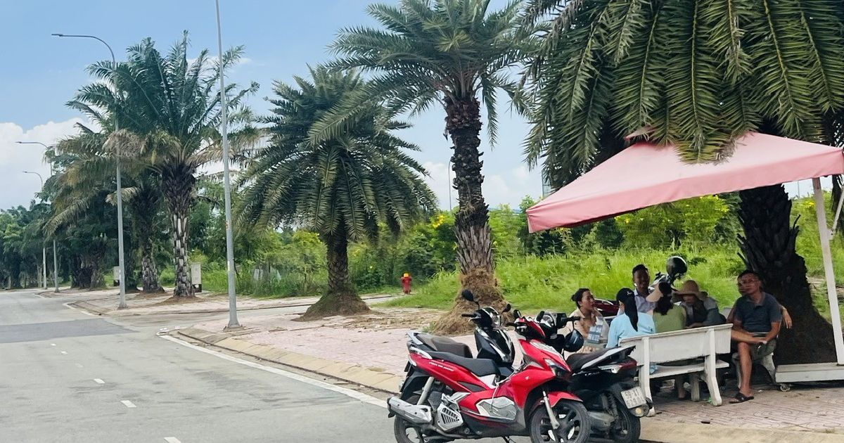 “Thế khó” của phân khúc đất nền