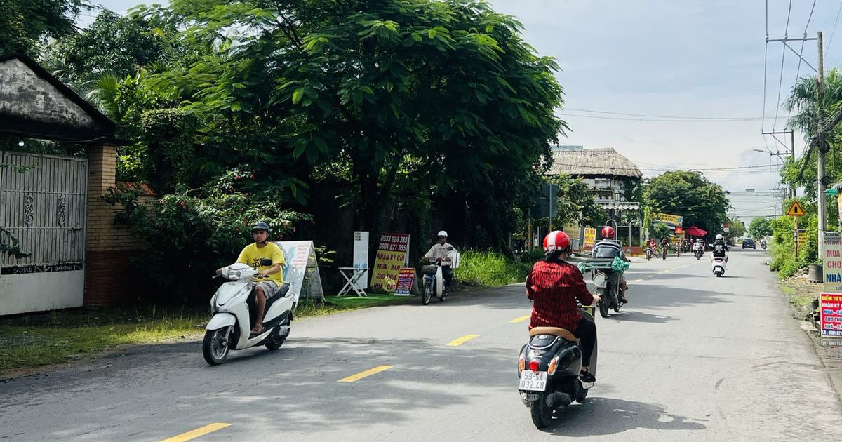 TP.Hồ Chí Minh chấp thuận cho 54 doanh nghiệp thí điểm nhận đất nông nghiệp làm nhà ở thương mại