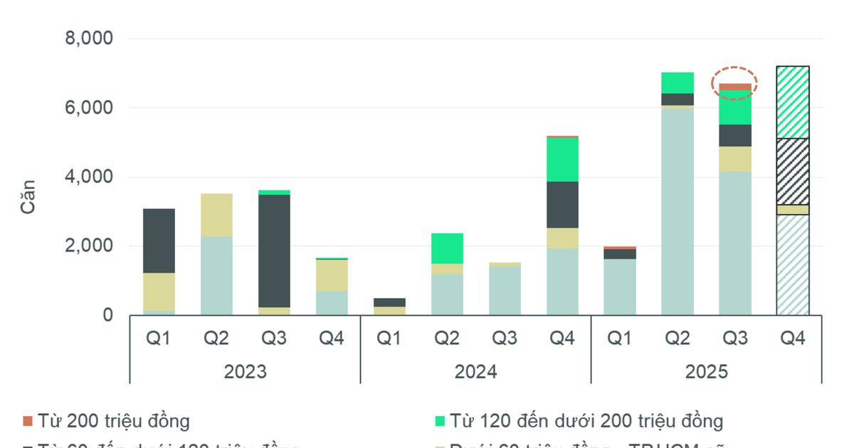 TP.HCM có thêm nguồn cung căn hộ giá trên 200 triệu đồng/m2