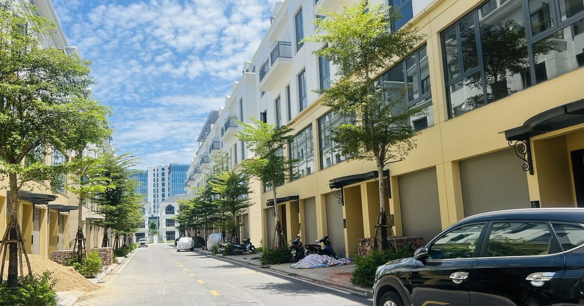 Diễn biến thú vị của thị trường địa ốc miền Nam cuối năm