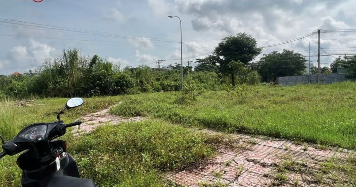 Mua đất phân lô trên giấy “hứa”, nhà đầu tư ngã ngửa khi biết sổ hồng đã bị chủ đầu tư đem cầm cố ngân hàng từ lâu