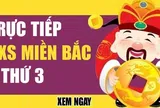 XSMB 17/3 Kết quả xổ số Miền Bắc hôm nay 17/3/2026 XSMB Thứ 3