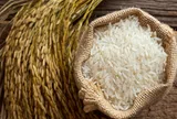 Giá lúa gạo hôm nay 30/7/2026: Gạo nguyên liệu bật tăng