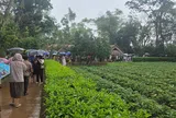 Hàng vạn người về Kim Liên dâng hương Chủ tịch Hồ Chí Minh dịp 30/4