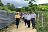 Phát triển dược liệu dưới tán rừng: Hướng đi mở sinh kế bền vững cho miền Tây Nghệ An
