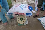 Quỳnh Văn tăng cường  phòng, chống dịch cúm gia cầm H5N1