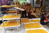 Hoa Tiến hồi sinh nghề dâu tằm, mở hướng phát triển du lịch cộng đồng