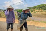 Gùi mạ trên những thửa ruộng bùn sâu