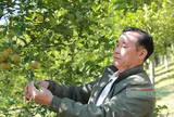 Nông nghiệp Thanh Hóa trong bước tiến của số hóa
