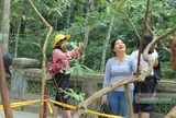 Du lịch văn hóa tâm linh Thanh Hóa bứt phá mạnh trong kỳ nghỉ lễ 30/4 – 1/5