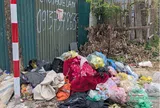 Câu chuyện cũ của rác sinh hoạt