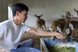 Kỹ sư xây dựng bỏ phố về quê nuôi hươu, thu nửa tỷ đồng mỗi năm