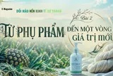 Đổi màu nền kinh tế xứ Thanh - Bài 2: Từ phụ phẩm đến một vòng giá trị mới