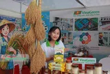 Hàng Việt tìm khách giữa lòng xứ Thanh