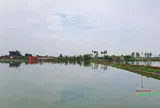 Biến ruộng đất bỏ hoang thành cơ ngơi đem lại thu nhập tiền tỷ mỗi năm