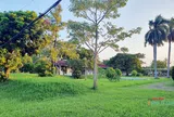 Hải Phòng gìn giữ, bảo vệ cảnh quan của “bệnh viện như công viên cây xanh”
