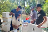 Gọi mùa rươi về trên đất Vĩnh Bảo