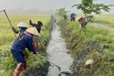 Các địa phương tại Hà Tĩnh ra quân làm thủy lợi phục vụ sản xuất Hè Thu