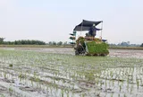 Nông dân Hà Tĩnh từng bước thay đổi phương thức sản xuất