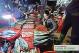 Nhộn nhịp chợ cá Thạch Kim lúc rạng sáng
