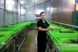 Nữ cử nhân kinh tế thành công với mô hình nuôi lươn không bùn ở Hà Tĩnh