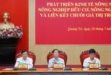 Quảng Trị quyết tâm trở thành trung tâm kinh tế nông nghiệp xanh của khu vực