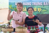 Quảng Ngãi: Xã Măng Ri giữ nhịp phát triển kinh tế - xã hội, mở rộng vùng dược liệu quý