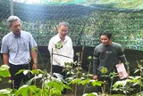 Đà Nẵng: Chủ tịch UBND thành phố khảo sát vùng trồng Sâm Ngọc Linh, thúc đẩy dự án đầu tư hơn 12.000 tỷ đồng