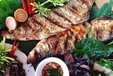 Lên Thung Nai thưởng thức ẩm thực đặc sản cá sông Đà