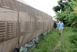 Vận hành khu chăn nuôi lợn thế nào để không trở thành “điểm nóng” ô nhiễm môi trường?