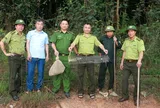 Thả hai cá thể động vật hoang dã về rừng tự nhiên tại Bắc Ninh