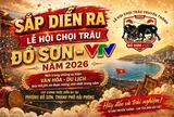 Đồ Sơn tổ chức chuỗi hoạt động bên lề Lễ hội chọi trâu năm 2026