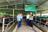 Từ chuồng bò đến cánh đồng: Bắc Ninh thử sức với mô hình chăn nuôi tuần hoàn