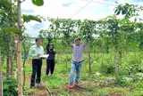 Những chuyến đi không thể nào quên