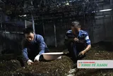 Người cựu chiến binh và hành trình xây dựng thương hiệu cho nấm rơm