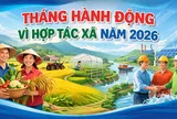 Thành phố Huế hưởng ứng Tháng hành động vì Hợp tác xã năm 2026