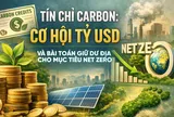 [eMagazine] Tín chỉ carbon: Cơ hội tỷ USD và bài toán giữ dư địa cho mục tiêu net zero