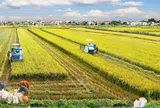 Rà soát thuế sử dụng đất, nghiên cứu chính sách thuế mới với nhà đất