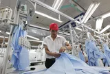 Dệt may Việt Nam đối mặt yêu cầu số hóa từ thị trường EU