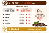 [Infographic] Giá nông sản hôm nay ngày 31/5: Cà phê giảm sâu, hồ tiêu neo đỉnh giá, lúa gạo giao dịch chậm