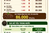 [Infographic] Cà phê lao dốc tại Tây Nguyên, hồ tiêu bất ngờ trở lại mốc 140.000 đồng/kg
