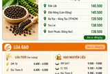 [Infographic] Giá nông sản hôm nay ngày 14/6: Cà phê tiến sát mốc 90.000 đồng/kg, hồ tiêu duy trì vùng giá đỉnh